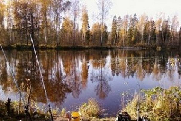 Особливості лову ляща восени: вибір підгодовування, снасті, загальні рекомендації На що краще ловити ляща в жовтні