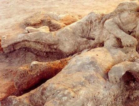 La morte di Pompei - fatti poco conosciuti sulla tragedia dell'antica città di Pompei, il vulcano Vesuvio distrutto