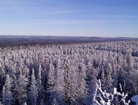 Mount Shunut, Sverdlovsk region