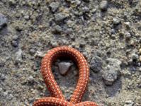 Basic mountaineering knots Austrian knot how to knit diagram and explanation