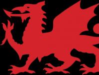 Symbols of Wales: flag, coat of arms (royal badge of Wales), anthem, leek, yellow daffodil Welsh flag